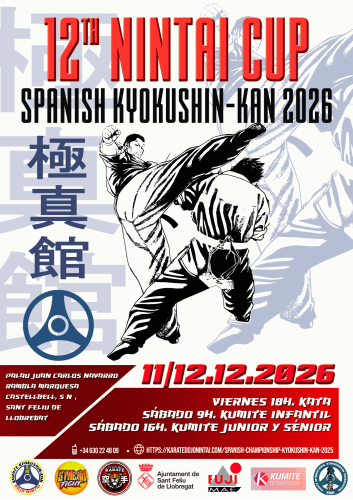 Cartel 12.ª Copa Nintai
