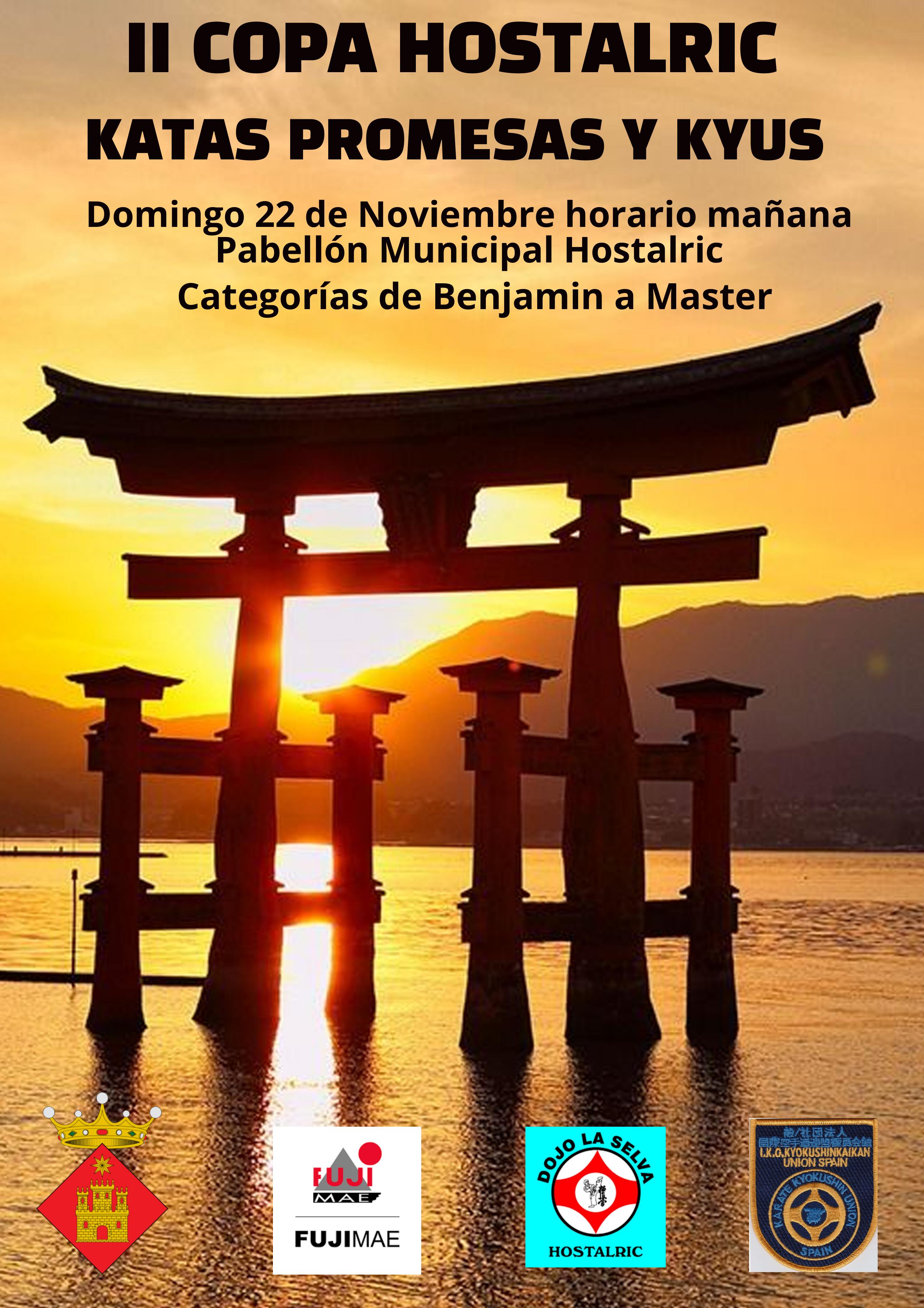 Cartel II Copa Hostalric